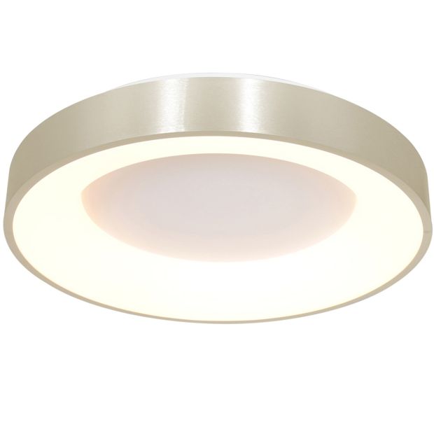 Deckenlampe Ringlede 2563ZI Silberne LED Lampe Ø48cm