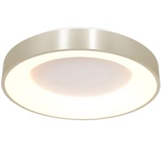 Plafondlamp Ringlede 2563ZI Zilveren LED lamp Ø48cm - Zilver - Elektronica, Kunststof, Metaal - Steinhauer