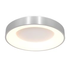 Ceiling lamp Ringlede 2562ZI Silver Ø38cm