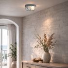 Plafondlamp Lisanne 1342GR Grijs met E27 fitting - Grijs, Transparant - Elektronica, Glas, Metaal - Steinhauer
