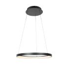 Suspension noire Ringlede 4612ZW avec système de câble de levage