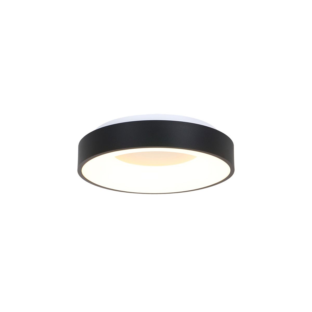 Plafondlamp Ringlede 3086ZW Zwarte LED lamp Ø30cm
