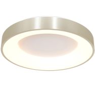 Plafondlamp Ringlede 2563ZI Zilveren LED lamp Ø48cm - Zilver - Elektronica, Kunststof, Metaal - Steinhauer