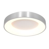 Ceiling lamp Ringlede 2562ZI Silver