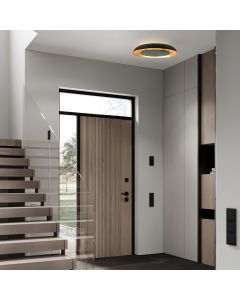 Golden Veil 4331ZW – black ceiling lamp with golden glow and dimmable LED
