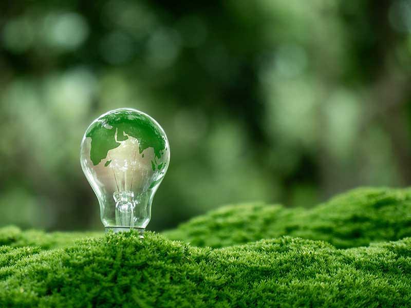 Licht met respect voor de natuur