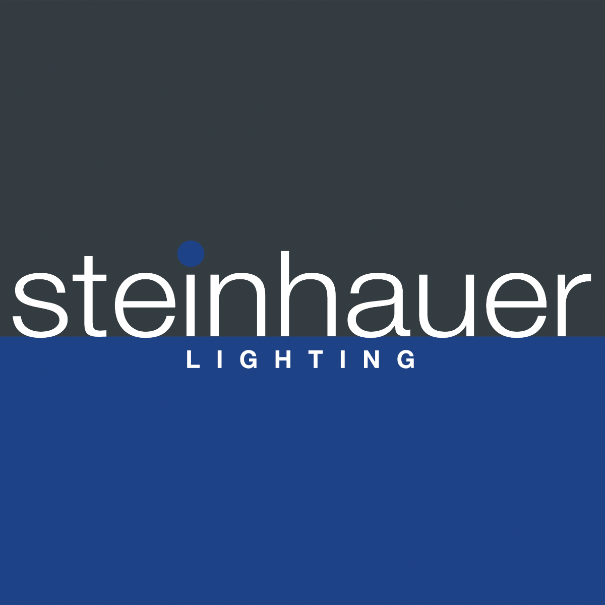 Steinhauer logo witte letters met blauw - grijze achtergrond